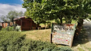 Agroturystyka CISOGNA w Anagni 3 Agroturystyka CISOGNA w Anagni 2