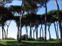 Villa Pamphili