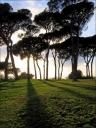 Villa Pamphili