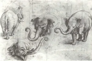 Annone – słoń papieża Leona X Medyceusza 5