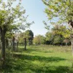 Ośrodek kolonijny w Rimini - park prywatny