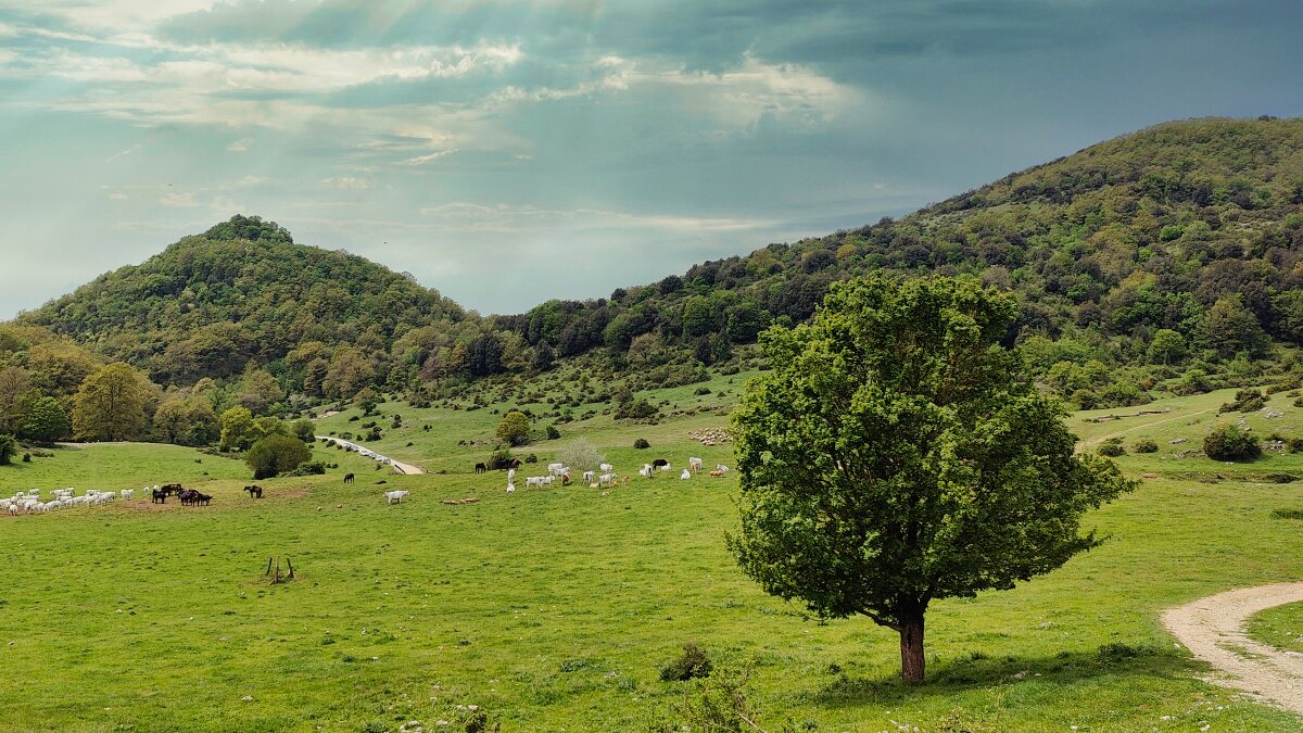 Parki naturalne Rzym